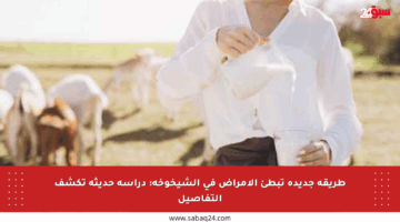 طريقة جديدة تبطئ الأمراض في الشيخوخة: دراسة حديثة تكشف التفاصيل